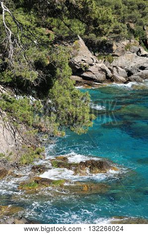 Rayol Canadel sur Mer France - april 18 2016 : the estate Rayol garden in spring