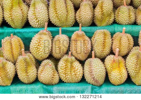 Durian King of Fruit for selling in Thailand.