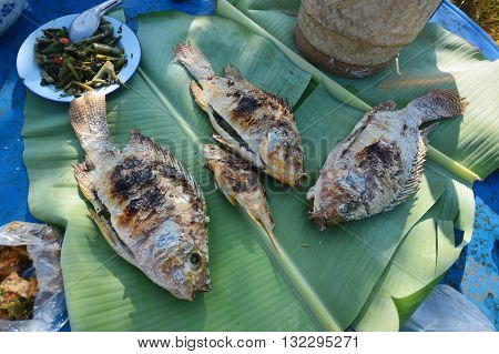 fish grilled on a banana leaf dish wild food in LAOS