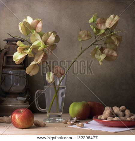 Still life with branches of golden rain tree