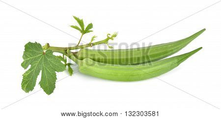 fresh okra or green roselle on white background.