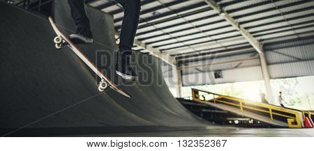 Skateboarder Skateboard Skateboarding Skate Concept