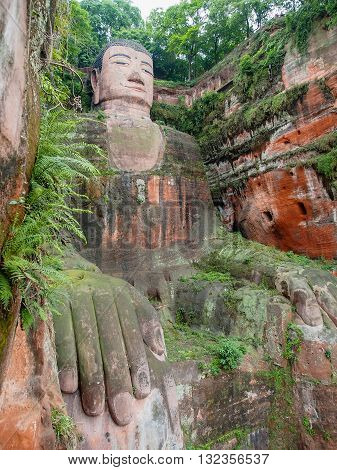 The 71M Tall Giant Buddha (dafo), Carved Out Of The Mountain In The 8Th Century Ce In Leshan, Sichua