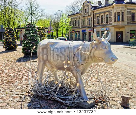 White Cow In Ventspils In Latvia