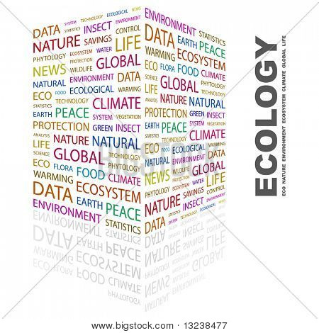 ECOLOGY. Word collage on white background. Illustration with different association terms.