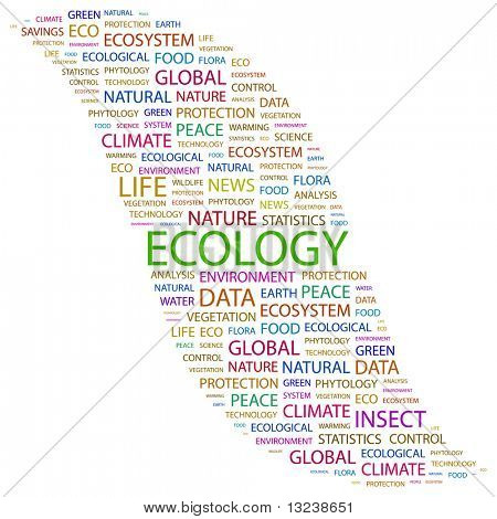 ECOLOGY. Word collage on white background. Illustration with different association terms.