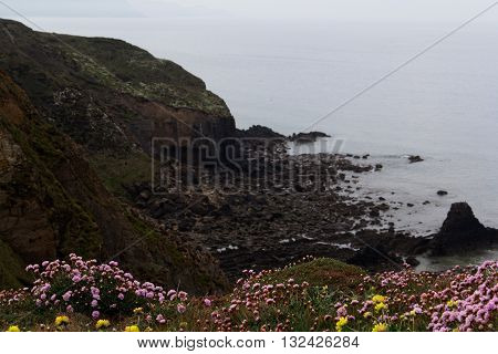 View From The Coastal Path Between Widemouth Bay And Bude