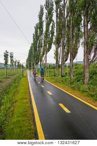 Ride In The Cycleway