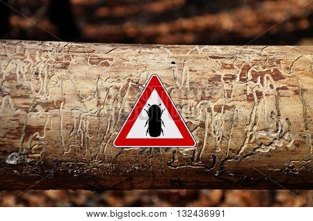 Bark-beetle Attention Sign