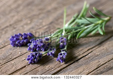 Bunsh of lavender flowers on weathered wood