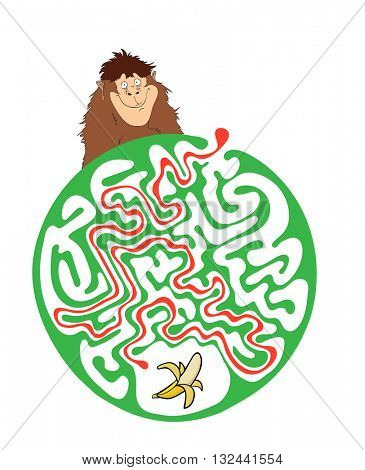 Maze puzzle for kids with monkey and banana. Labyrinth illustration, solution included.