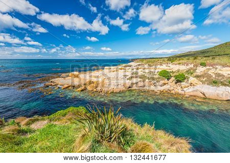 New Zealand colorful coastline landscape with fur seals and birds at Otago Region Southern island New Zealand - circular polarizing filter