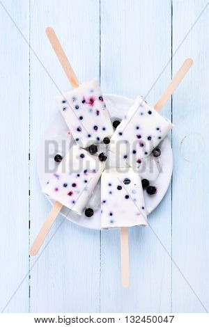 Ice cream from frozen yogurt and blackcurrant top view