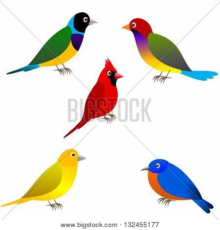 Clipart picture of five bird cartoon character .