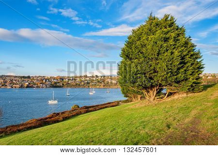 View of Kinsale town and harbour. Cork County Munster Ireland