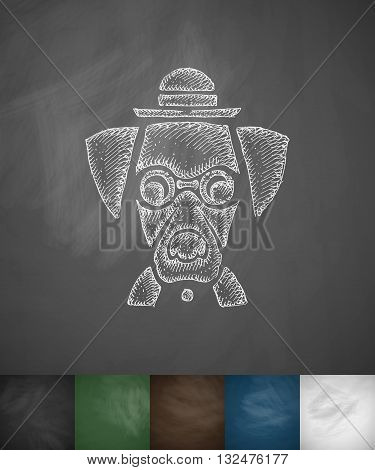 hipster dog icon. Hand drawn vector illustration. Chalkboard Design