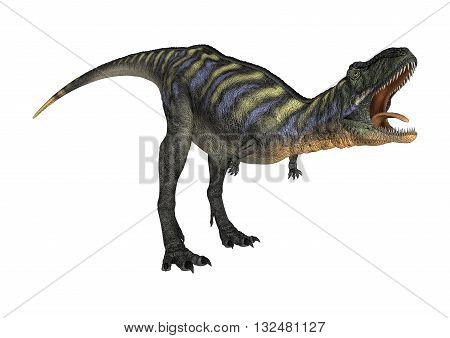 3D Rendering Dinosaur Aucasaurus On White