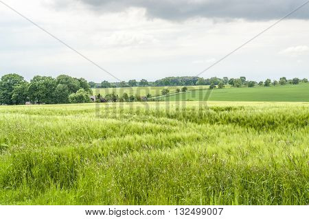 stormy agricultural springtime scenery with grainfield and meadows in Hohenlohe a district in Southern Germany