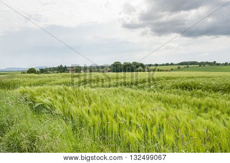 stormy agricultural springtime scenery with grainfield around a small village in Hohenlohe a district in Southern Germany