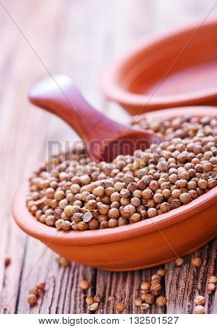 Coriander