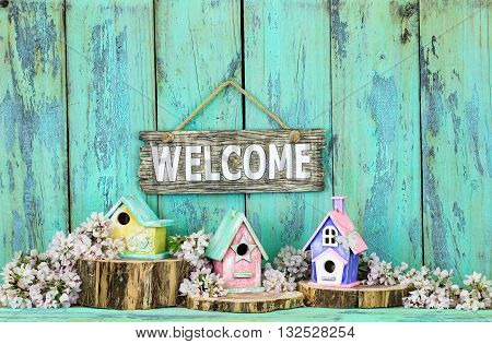 Welcome sign hanging over colorful birdhouses on cedar logs by spring tree blossoms on antique rustic mint green wood background; pink, yellow, purple, green birdhouses