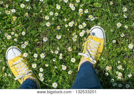 Yellow Sneakers In A Dasiy Field. First Person View