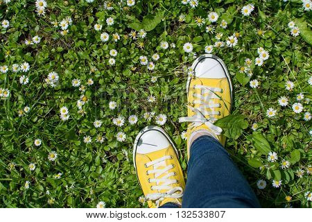 Yellow Sneakers In A Dasiy Field. First Person View