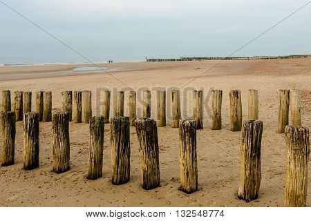Breakwaters on the beach at sunset in Domburg, Zeeland, Holland