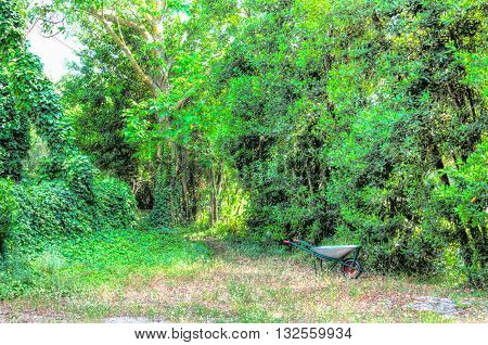Hdr Of Wheelbarrow In A Garden