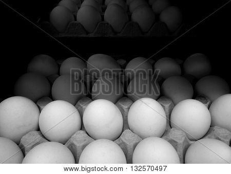Eggs in carton tray detailed stock photos