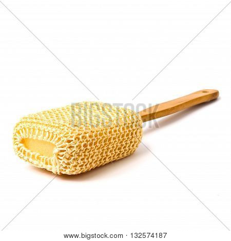Loofah Long Handled Back Brush on white back ground