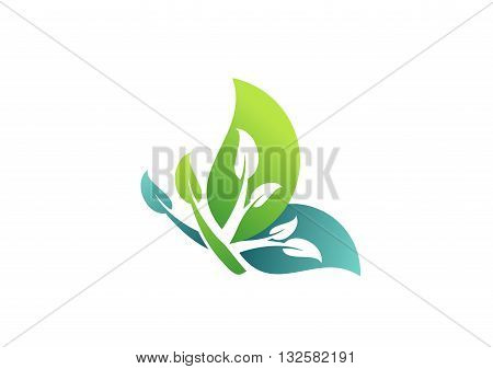 butterfly logo, nature plants beauty spa business symbol icon vector design.