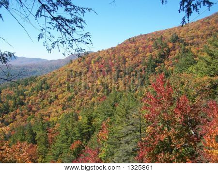 Fall In The Mountains