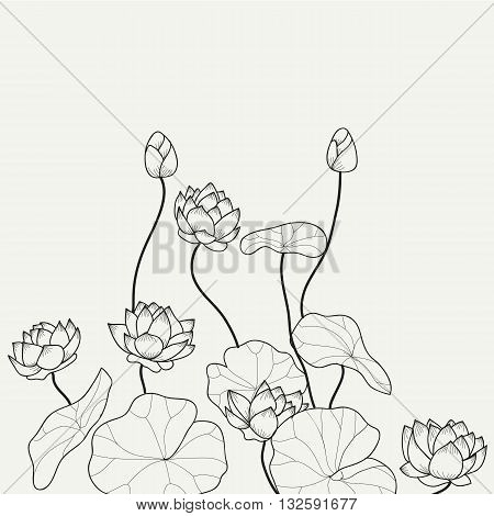 Hand drawn lotus pond light line illustration