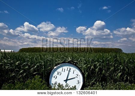 Horizontal front view of a big wall clock in a green field with blue sky and clouds