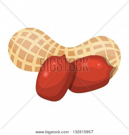 Peanut colorful icon. Vector illustration in cartoon style