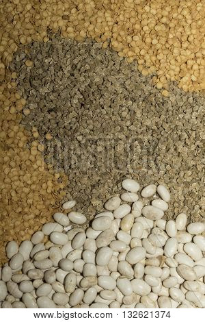 Various seed pattern as background been anad grass