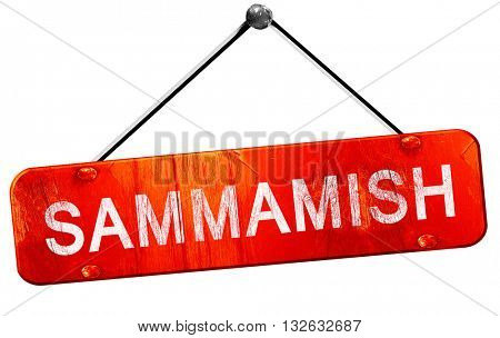 sammamish, 3D rendering, a red hanging sign