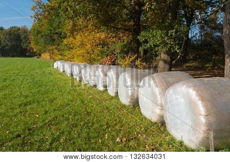 row of plastic wrapped hay bales in a meadow