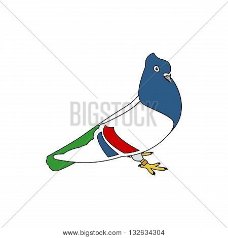 Beautiful line drawing colorful serbian highflyer pigeon vector illustration isolated on white background.