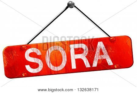 Sora, 3D rendering, a red hanging sign