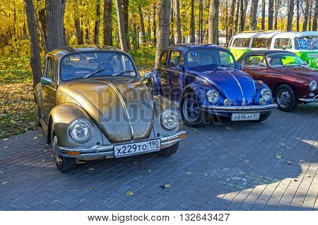 MOSCOW, RUSSIA - OCTOBER 12, 2013: Two cars Volkswagen Beetle at the open-air retro and vintage cars exhibition at the Lenin Hills. The exhibition is organized by informal group of retro cars fans.
