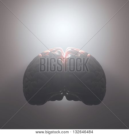 3D illustration. Brain floating with a strong light coming from inside. Open and free mind concept. Your text on the light. Clipping path included.