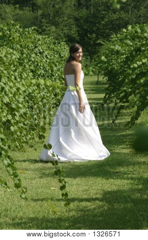 Brideorchard