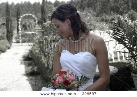 Sposa