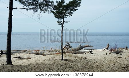 Baltic sea coast. Landscape view. Spring sea