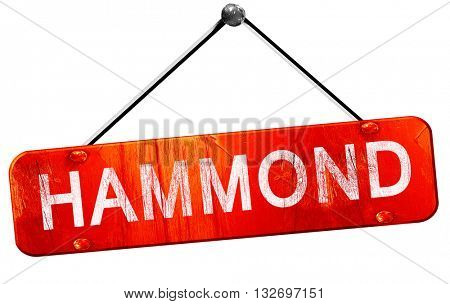 hammond, 3D rendering, a red hanging sign