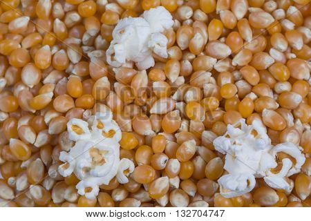 Unpopped and popped popcorn kernels for background