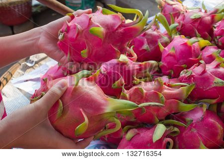 choosing fruits in the open air fruit market