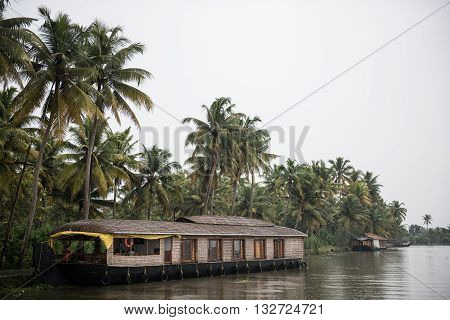 Houseboats on the banks of Vembanad lake at Kottayam. On the background, lush green coconut and palm trees are seen. Vembanad is famous as a tourist spot.